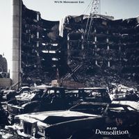 D.L.I.D. - Demolition