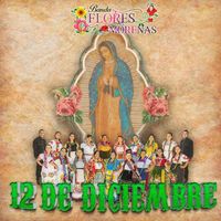 Banda Flores Morenas - 12 DE DICIEMBRE
