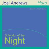 Joel Andrews - Splendor of the Night