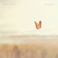 Wilson Trouvé - Butterflies