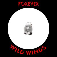 Forever - Wild Winds (Deluxe Edition)