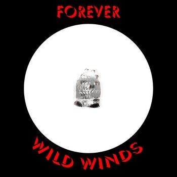 Forever - Wild Winds (Deluxe Edition)