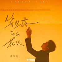 沙宝亮 - 等坠落的花火