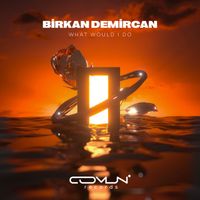 Birkan Demircan - What Would I Do