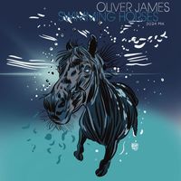 Oliver James - Swimming Horses (Ben Casey 2024 Remix)