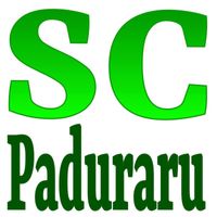 Cristian Paduraru - SC (Gymnastics Mix)