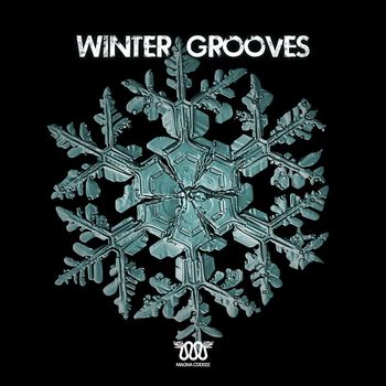 Various Artists - Winter Grooves