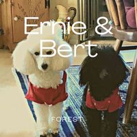 Forest - Ernie & Bert