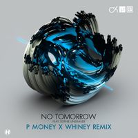 Camo & Krooked - No Tomorrow (P Money X Whiney Remix)