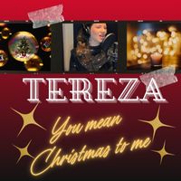 Tereza - You Mean Christmas to Me