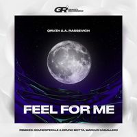 QRVZH and A. Rassevich - Feel for Me