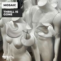 Mosaic - thrill is gone