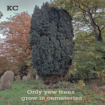 KC - Only Yew Trees Grow in Cemeteries