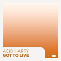 ACID HARRY - Got To Live