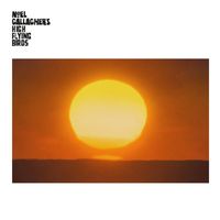 Noel Gallagher's High Flying Birds - In A Little While (Demo)