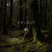 Deep Sleep - Spirit 01