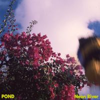 Pond - Neon River