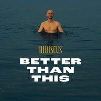 Hibiscus - Better than this