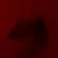 Montana and Della Fox - Achterna (Explicit)