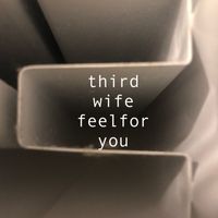 THIRD WIFE - Feel For You