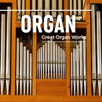 Gonçal Perales - Great Organ Works