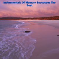 Relaxing Music - Instrumentals Of Memory Successes The Best