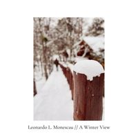 Leonardo L. Monescau - A Winter View
