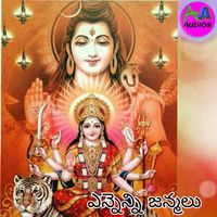 Lalitha Sagari - Nagaraja Pujja