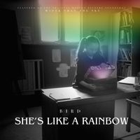 Bird - She's Like A Rainbow (Radio Edit)