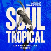 David Walters - Soul Tropical (La Fine Equipe Remix)