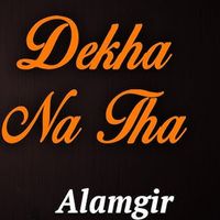 Alamgir - Dekha Na Tha