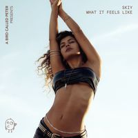 SKIY - What It Feels Like