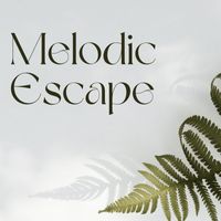 Asian Meditation Music Collective - Melodic Escape: Tranquil Tunes for Anxiety Relief and Inner Peace