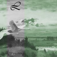 Lustre - Wonder