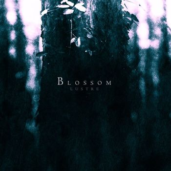 Lustre - Blossom