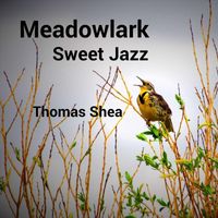Thomas Shea - Meadowlark Sweet Jazz