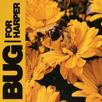 Bug - For Harper
