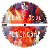 2Lani Soul - Pluckobar