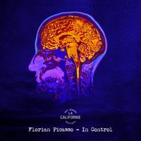 Florian Picasso - In Control