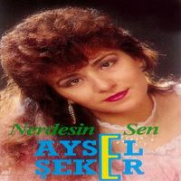 Aysel Seker - Nerdesin Sen