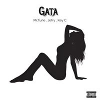 Mr.Tune - Gata (Explicit)