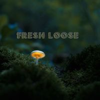 Dolphin - Fresh Loose