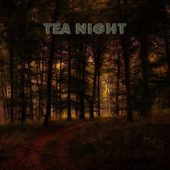 Dolphin - Tea Night