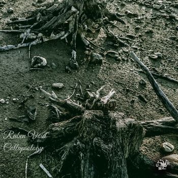 Ruben Void - Collapsology