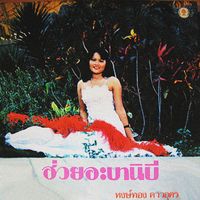 Hong Thong Dao Udon - Hey Abanibee