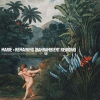 Marie - Remaining (Bahrambient Rework)