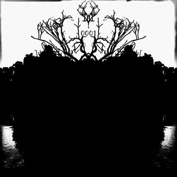 Macro - Transcomunicación Instrumental (Explicit)