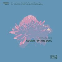 Lee Houser - Gumbo for the Soul