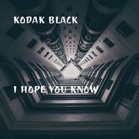 Kodak Black - I Hope You Know