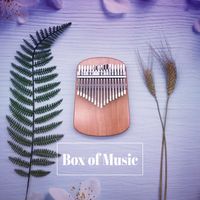 Box of Music - Whispers of Melody